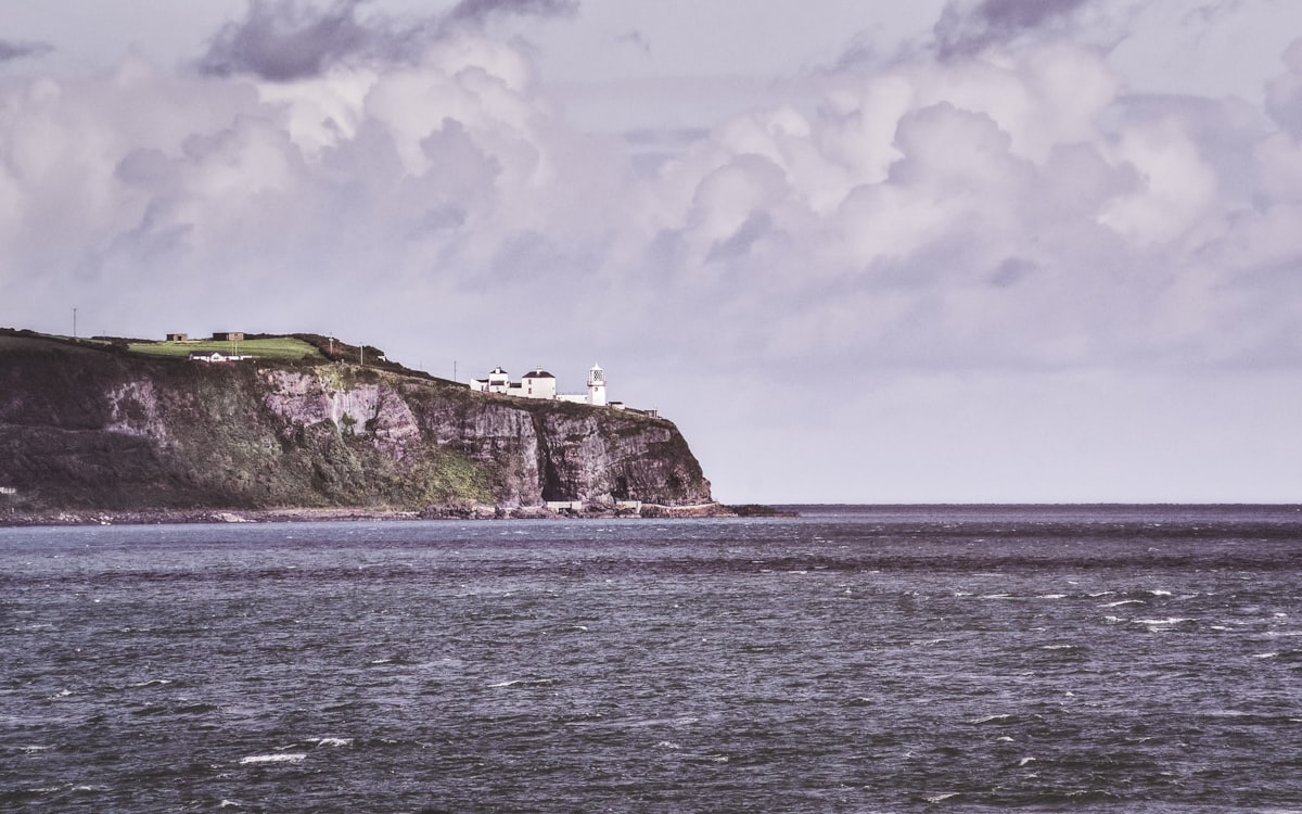 Coastal Scenic Tour gallery image 2