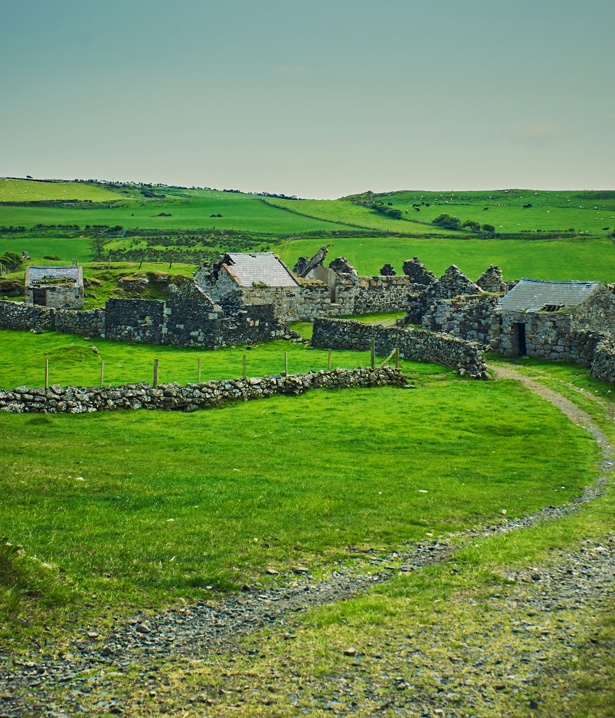 Coastal Scenic Tour gallery image 4